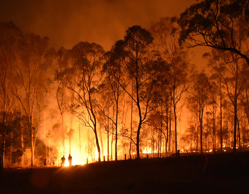 Australian Disaster Fund