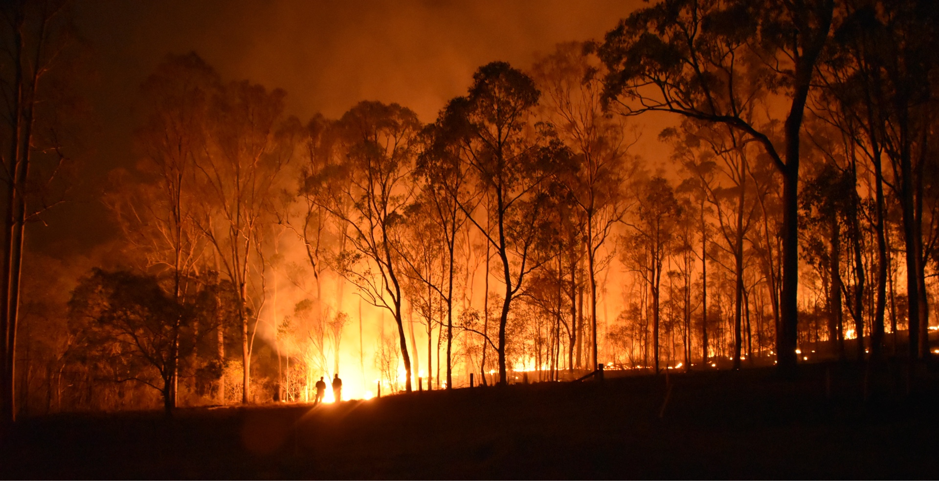 Australian Disaster Fund
